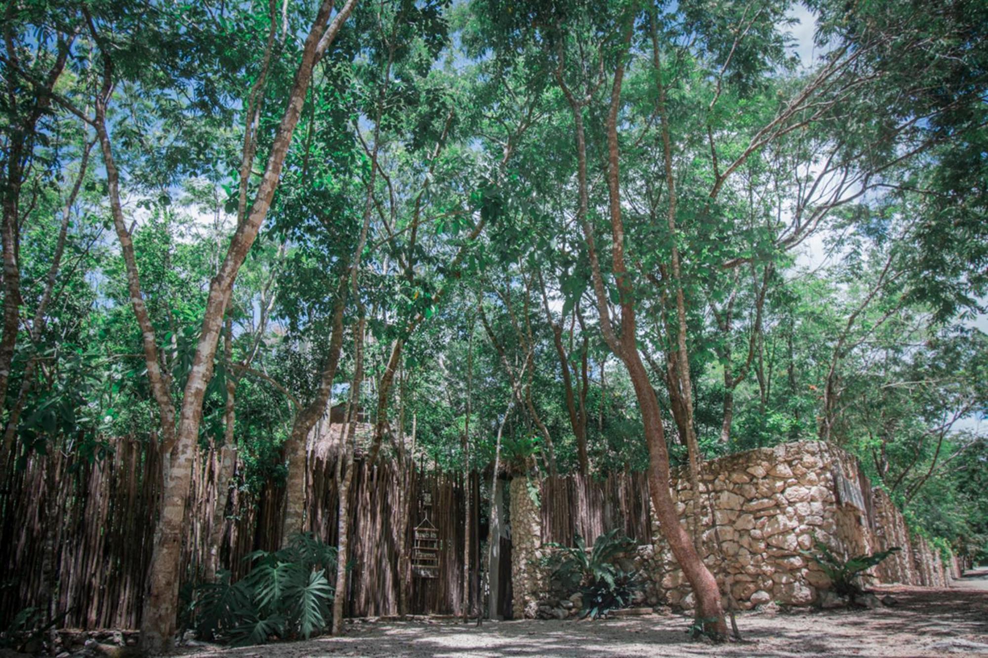 Pepem Holistic Experience - Peaceful Retreat Near Tulum (Adults Only) Vila Exterior foto